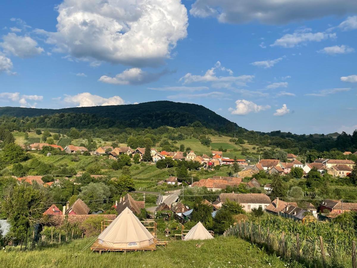 Saschiz 130/Lodging And Glamping Zewnętrze zdjęcie
